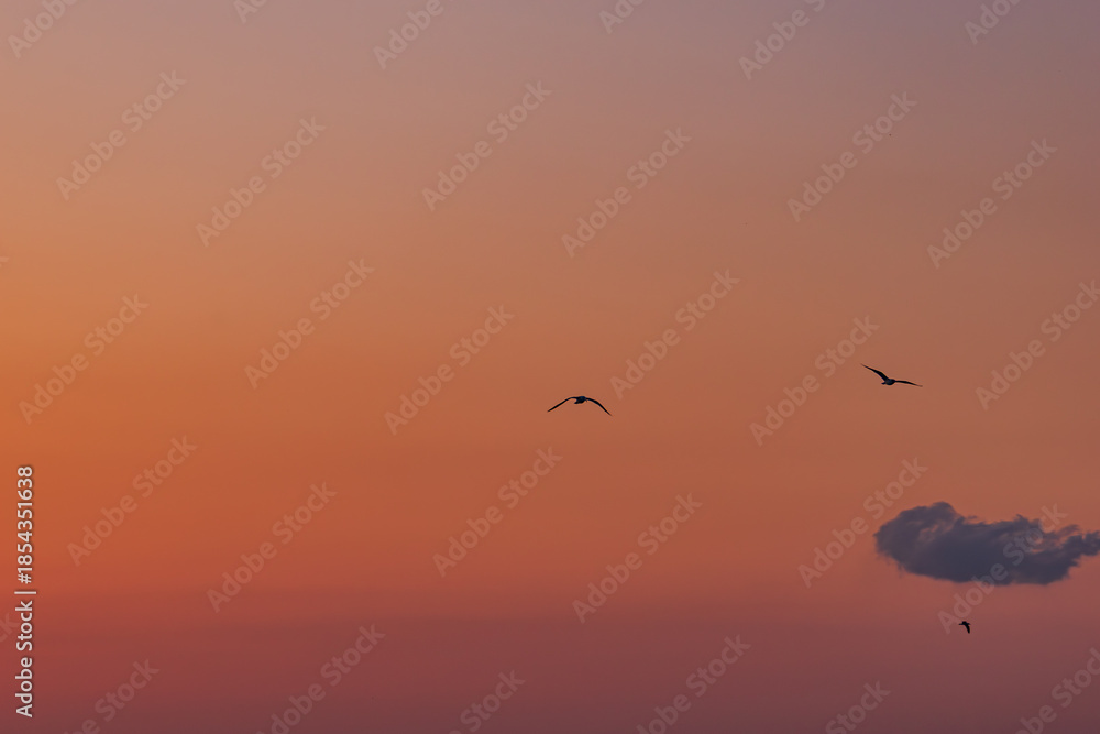 Fototapeta premium 朝焼けの風景