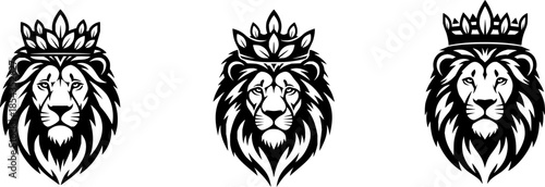 vector illustration of a lions