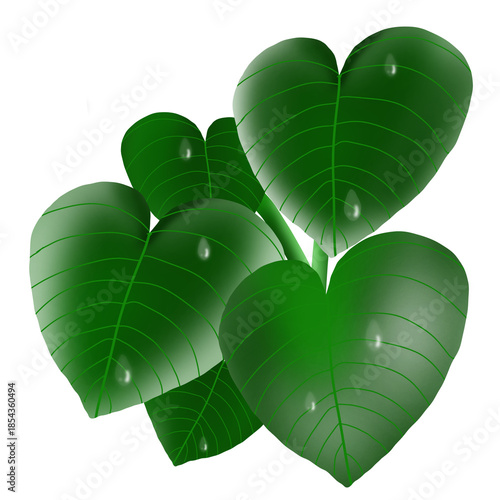 green leaf isolated on white