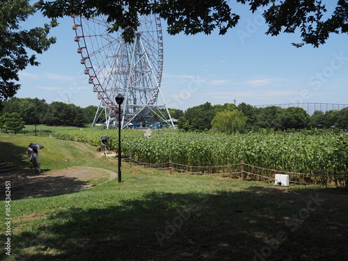 葛西臨海公園の風景