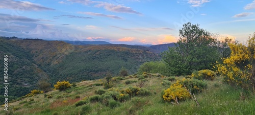 La Vallée Borgne vue depuis le massif de l'Aigoual au coucher du soleil