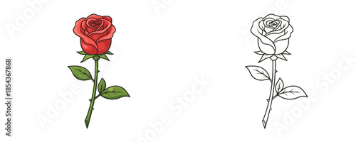 Red rose flower illustration and black and white outline sketch featuring green leaves and thorns on long stem for garden design or coloring page isolated on white background