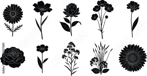 Large collection of floral silhouettes including rose, sunflower, daisy, and wildflowers, vector illustration isolated on white background for garden and nature design.