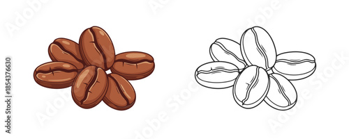 Group of roasted brown coffee beans illustration and its line art outline sketch representing energy and caffeine for cafe menu or packaging design on white background