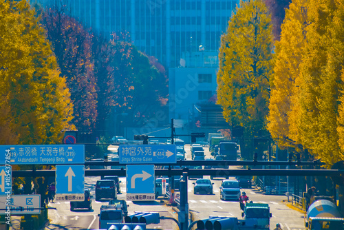 A cityscape of traffic jam at the yellow gingko street in the city telephoto shot