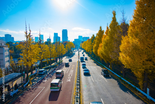 A cityscape of traffic jam at the yellow gingko street in the city wide shot