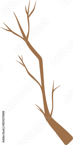 Winter birds, flowers & plants illustration