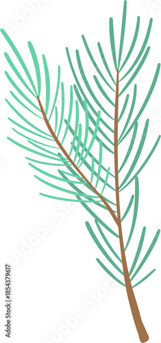 Winter birds, flowers & plants illustration