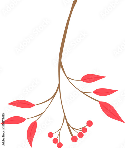 Winter birds, flowers & plants illustration