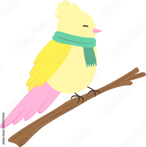 Winter birds, flowers & plants illustration