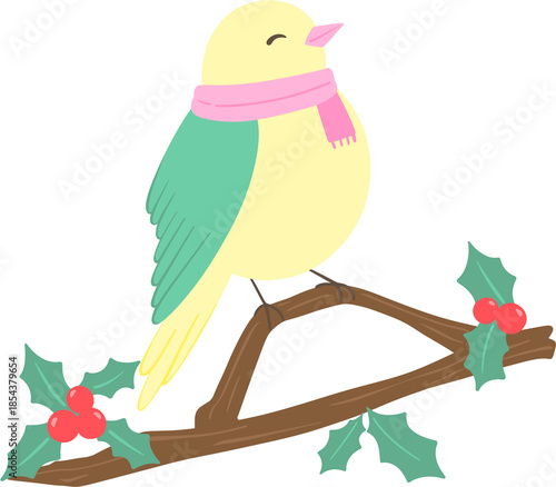 Winter birds, flowers & plants illustration