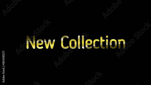 Luxury Fashion Text Animation Intro