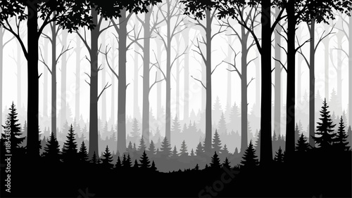 trees in the morning