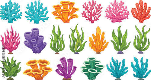 Collection of colorful underwater coral reef vectors featuring seaweed marine plants sea anemones and tropical ocean flora isolated on a white background.