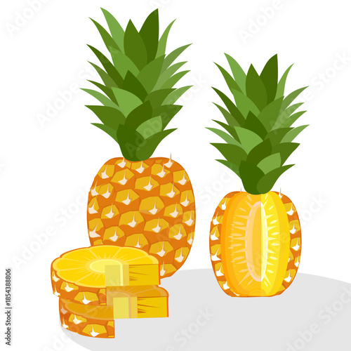 pineapple fruit illustration, summer fresh fruit theme	
