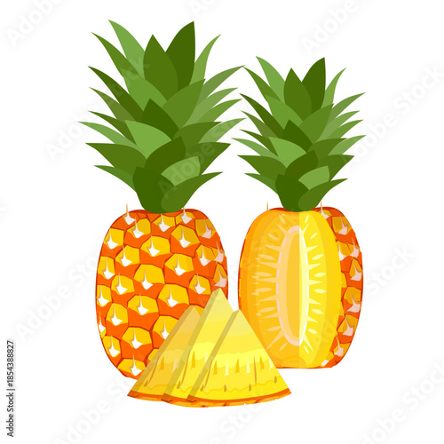 pineapple fruit illustration, summer fresh fruit theme	
