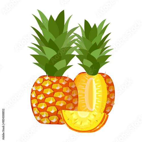 pineapple fruit illustration, summer fresh fruit theme	
