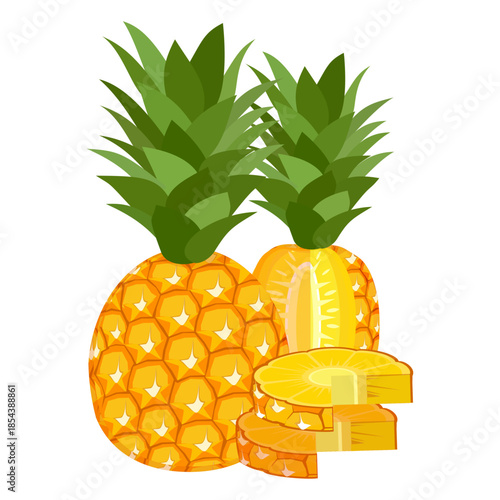 pineapple fruit illustration, summer fresh fruit theme	
