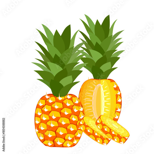 pineapple fruit illustration, summer fresh fruit theme	
