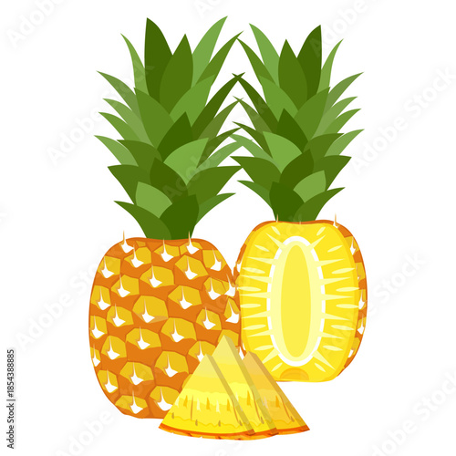 pineapple fruit illustration, summer fresh fruit theme	
