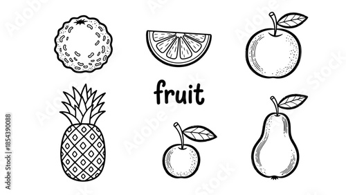 Outline set of fresh fruits with pineapple, apple, and citrus