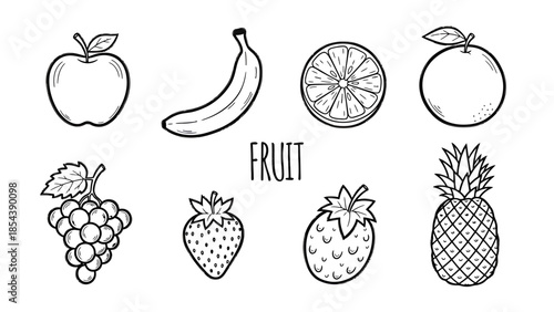 Set of fresh whole and sliced fruits line art illustration