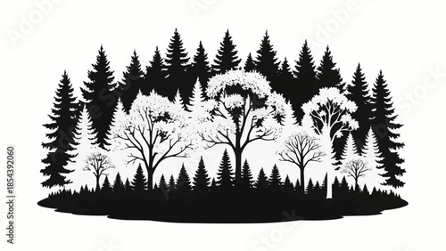 vector illustration of a tree