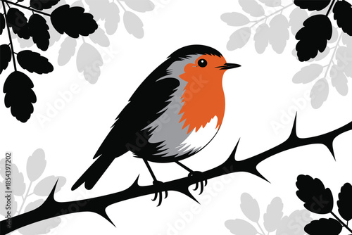 Robin Perched on a Thorny Branch, bird life concept
