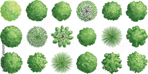 Set of Green Trees, Shrubs, and Bushes for Architectural and Landscape Plan Design, Top View and Side View Collection Elements for Park and Garden Layout Vector.