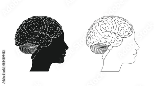 Human brain illustrations with side profiles observing the complexities within