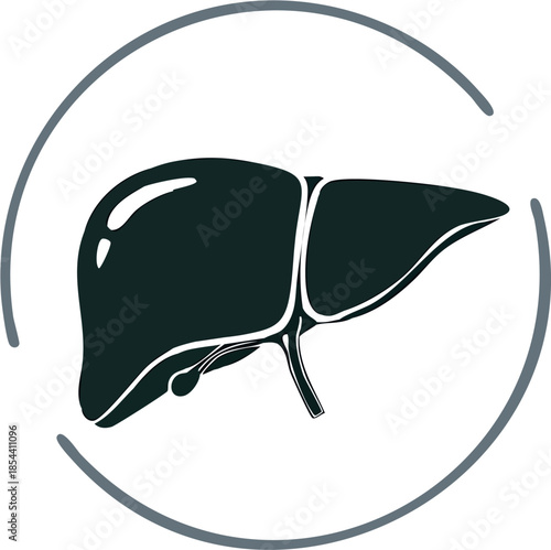 Minimalist outline vector icon of human liver, internal organ symbol, simple clean line art