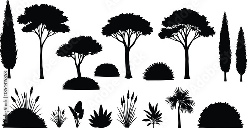 Silhouette of trees and plants, forest vegetation illustration, natural landscape design, tropical and deciduous trees, black and white artwork