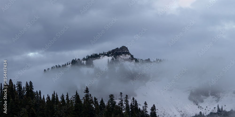 Obraz premium Mount Rainier National Park under snow, Western Washington State, USA.