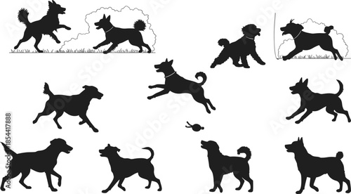Silhouette of playful dogs running, jumping, and playing outdoors in park, domestic pets activity, animal behavior, active lifestyle concept.