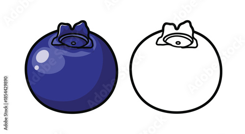 Colorful illustration of two cartoon blueberries, one shaded and one line drawing, on a white background with a minimalist style.