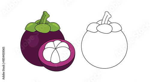 Illustration of a whole and halved purple mangosteen fruit with green leaves and a line art version on a white background.