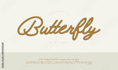 Butterfly Beautiful Smooth Calligraphy Script Font Alphabet Vector For Wedding Invitation