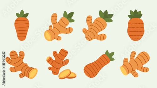 Golden Turmeric Rhizome Botanical Spice from Curcuma Longa Root