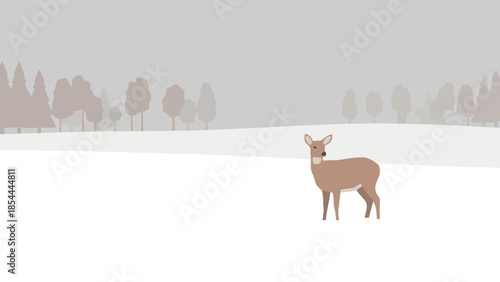 Single Deer Standing Alone in a Snow Covered Landscape.