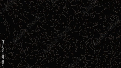 Modern abstract organic contour lines map constantly shifting on dark background with seamless motion loop