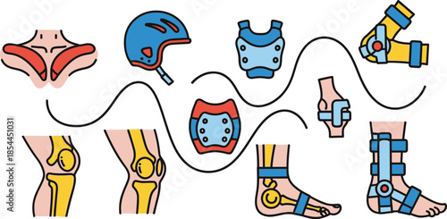 Illustrative Collection of Human Anatomy, Protective Gear, and Orthopedic Braces for Injury Prevention and Recovery