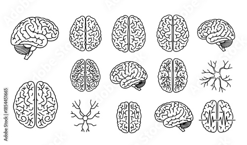 Neurology Brain Outline Icons Set Medical Vector for Web Design