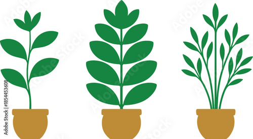 Three Potted Plants Indoor Decor