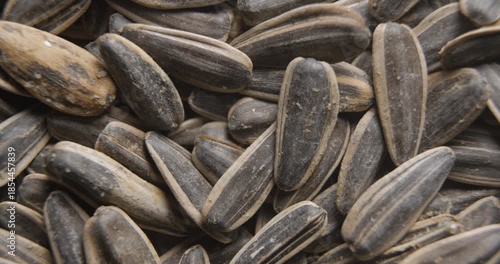 Sunflower seeds close up studio shot over rotating