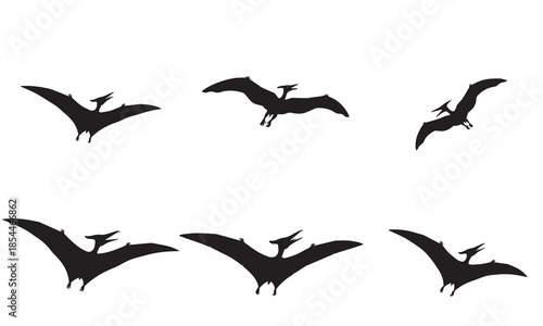 Black silhouettes of flying pterodactyls in various poses on a white background