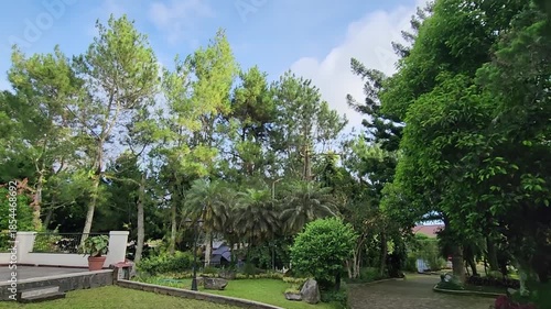 Beautiful garden path surrounded by lush trees and vibrant greenery. Scenic outdoor view with vibrant trees and tranquil garden walk. Lush, serene garden with walking path, trees, and green landscape.