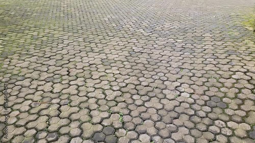 Paved path with eco-friendly tiles in serene surroundings. Clean cobblestone walkway in natural outdoor setting. Eco-conscious paving with moss-covered tiles on a path.