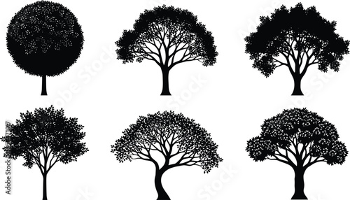 Tree silhouette vector set, black forest shapes, diverse tree canopy illustration, landscape design elements, botanical art, nature graphic collection