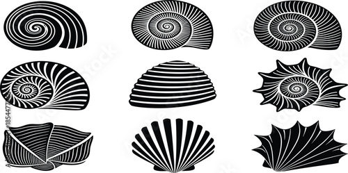 Seashell silhouette collection set, decorative sea shells and spiral snail icons, ocean beach nature elements vector illustration, nautical marine life black graphics