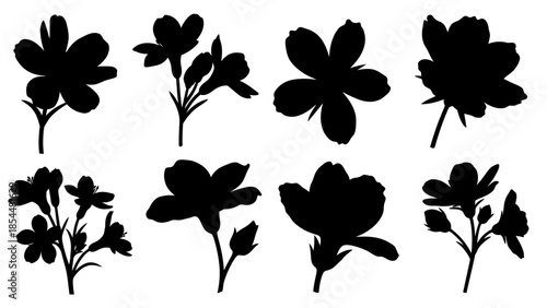Artistic Silhouette Illustration of Floral Azalea Blossom and Buds Botanical Collection